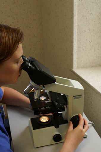Microscope, clinique vétérinaire des iles